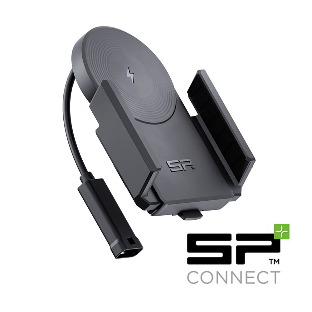 Daisy on the Ohoopee