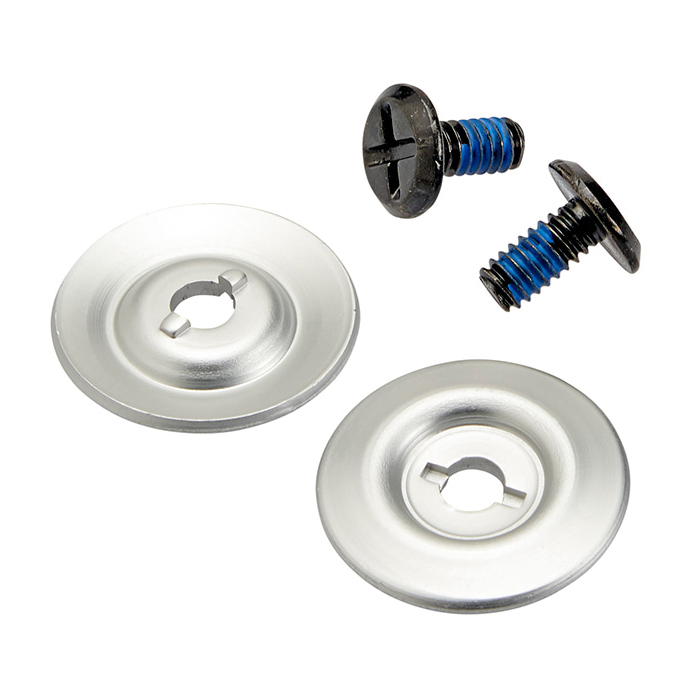 Daisy on the Ohoopee