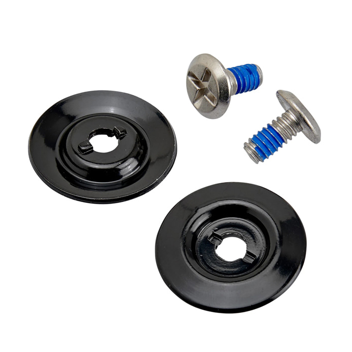 Daisy on the Ohoopee