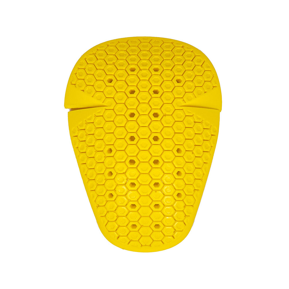 Daisy on the Ohoopee