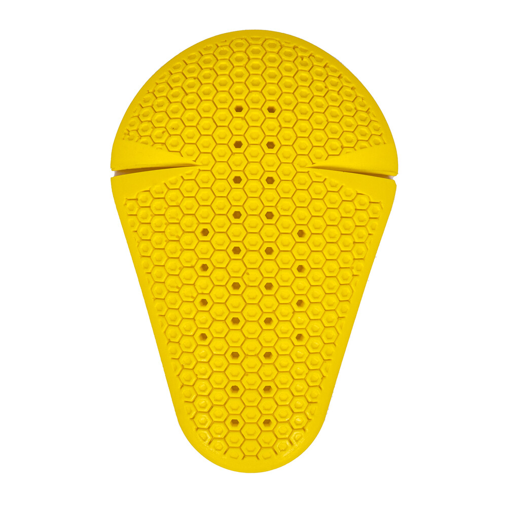 Daisy on the Ohoopee