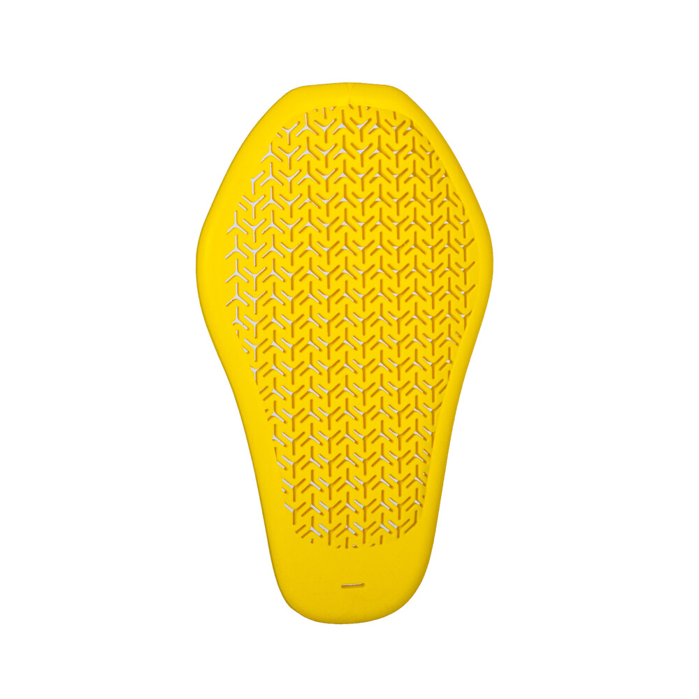 Daisy on the Ohoopee