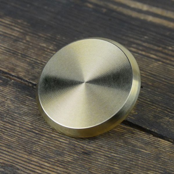 Daisy on the Ohoopee