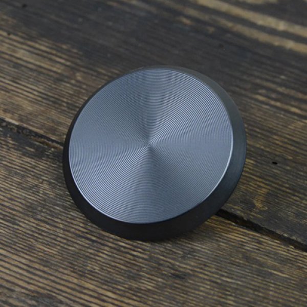 Daisy on the Ohoopee