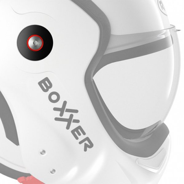 Daisy on the Ohoopee