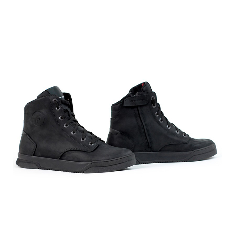 Daisy on the Ohoopee