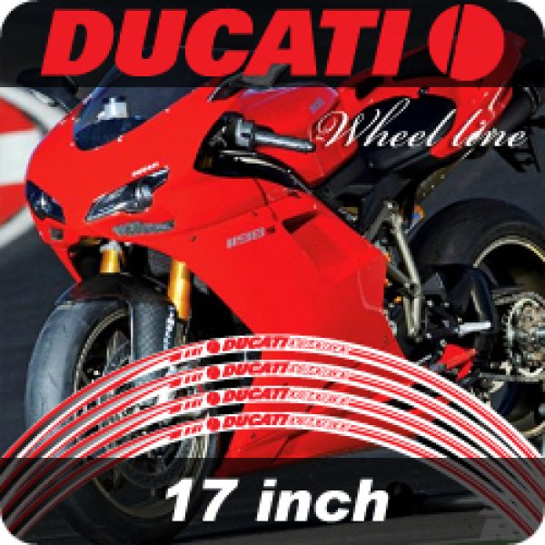 Daisy on the Ohoopee