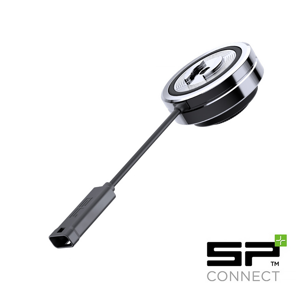 Daisy on the Ohoopee