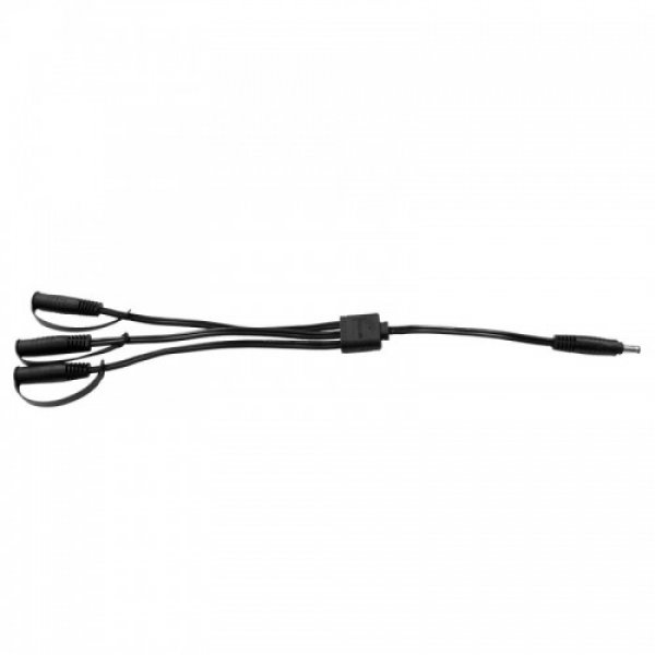 Daisy on the Ohoopee