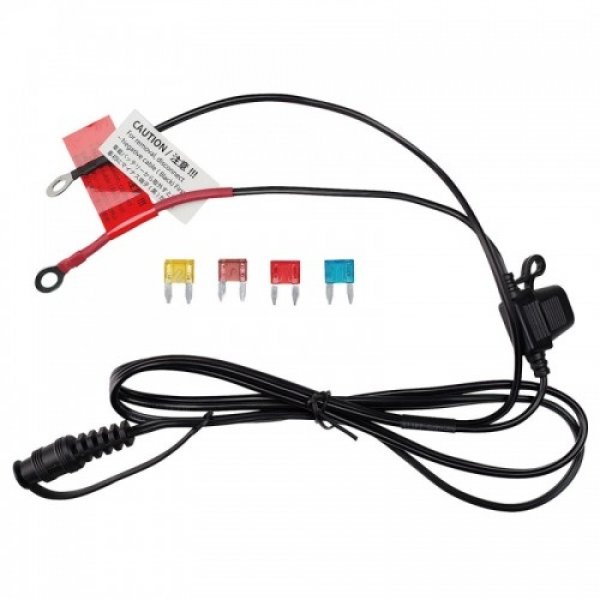 Daisy on the Ohoopee