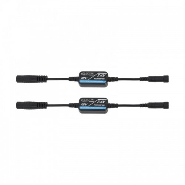 Daisy on the Ohoopee