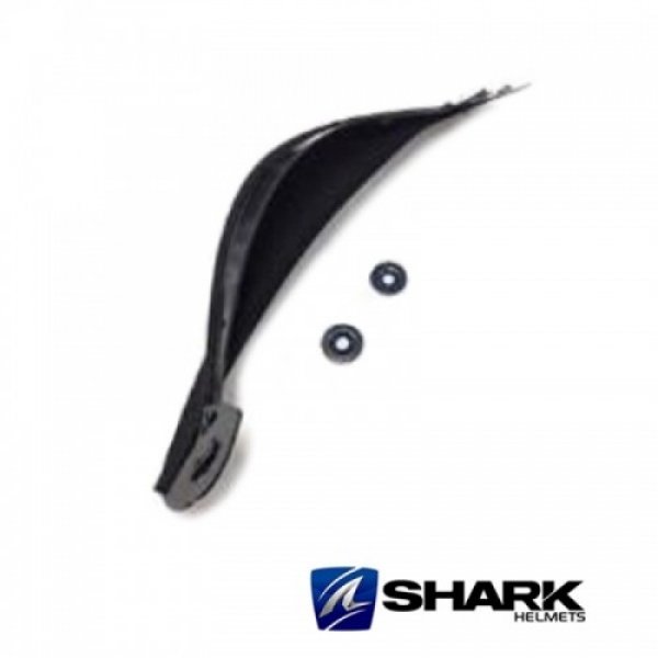 Daisy on the Ohoopee