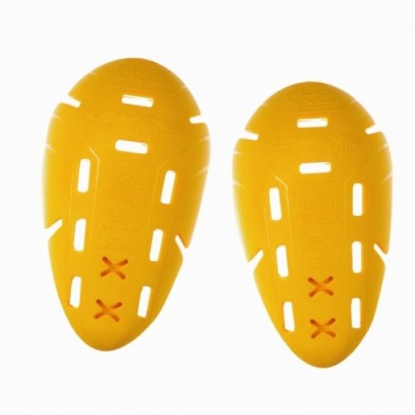 Daisy on the Ohoopee