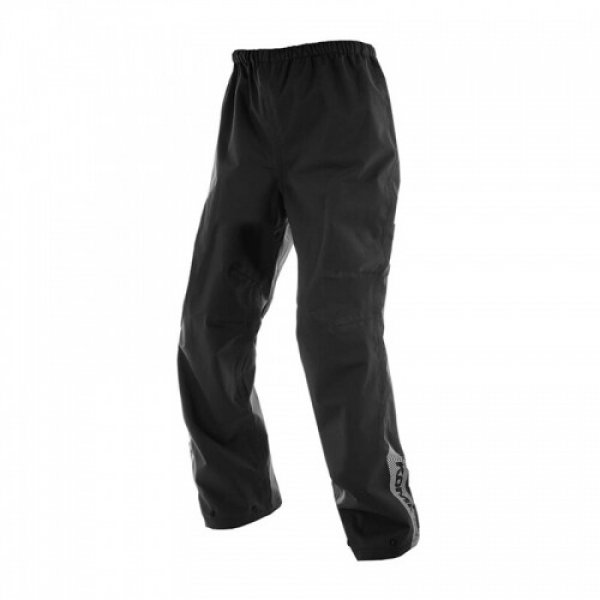 Daisy on the Ohoopee