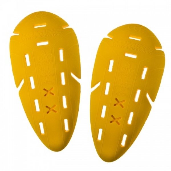 Daisy on the Ohoopee