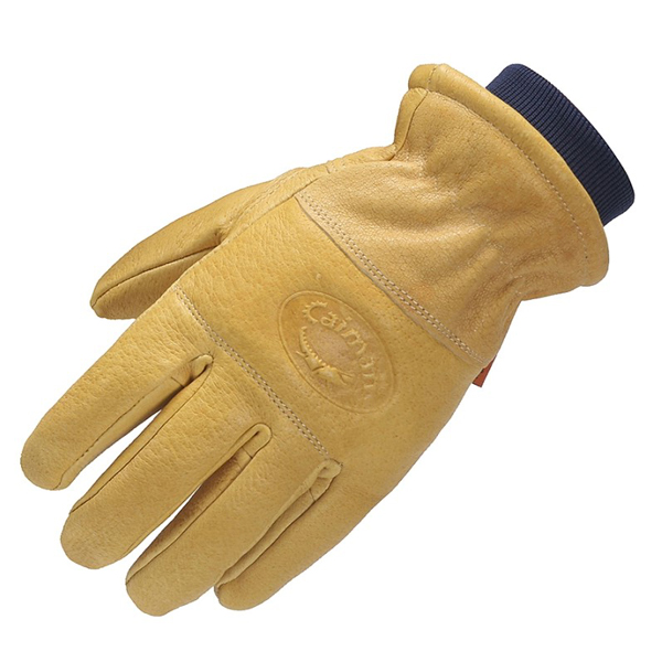 Daisy on the Ohoopee