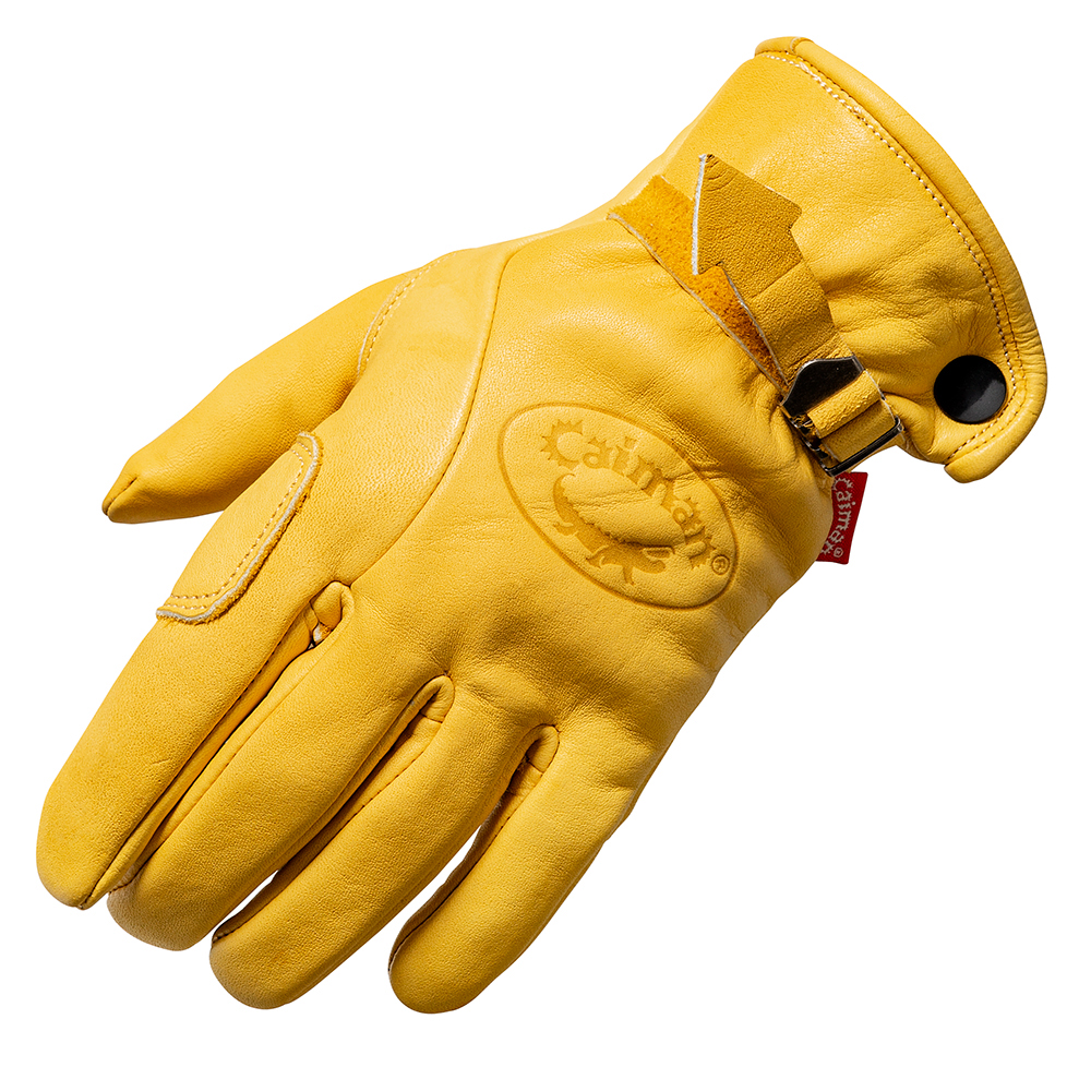 Daisy on the Ohoopee