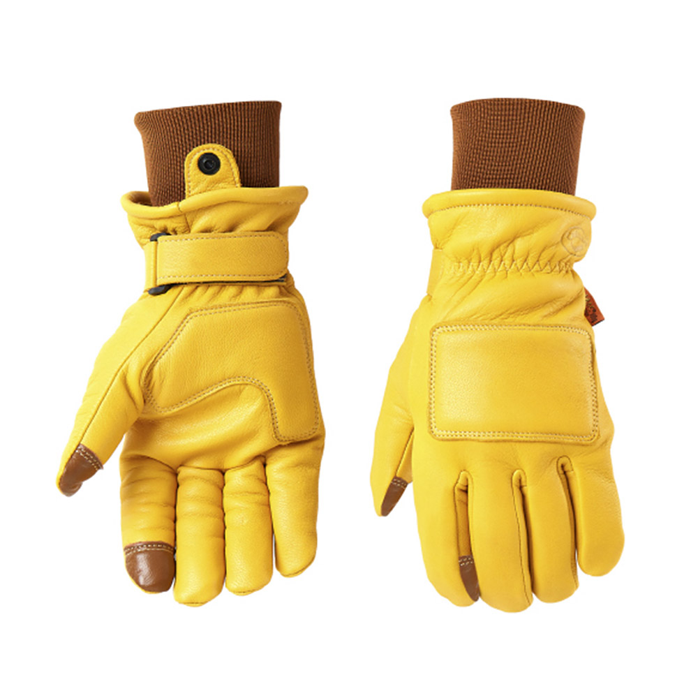 Daisy on the Ohoopee