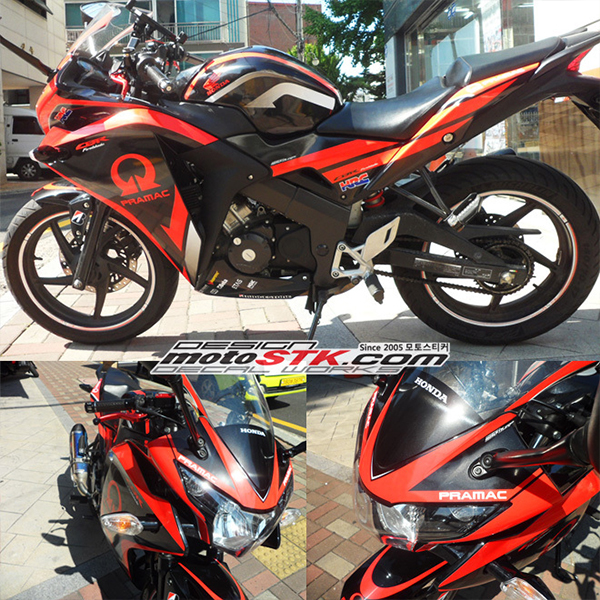 Daisy on the Ohoopee