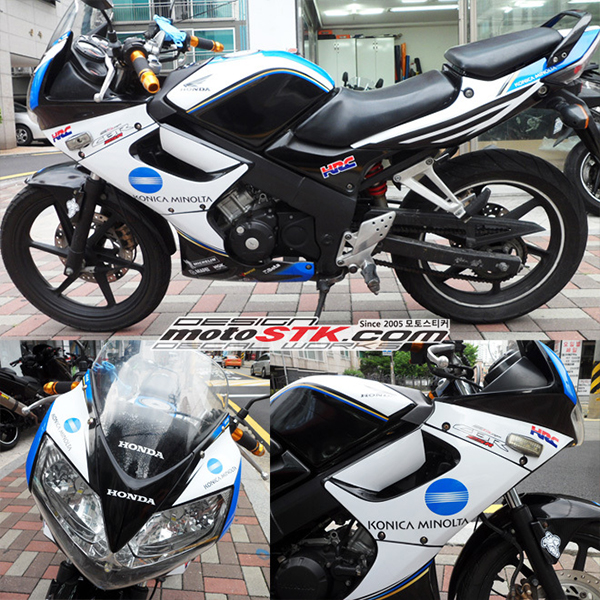 Daisy on the Ohoopee