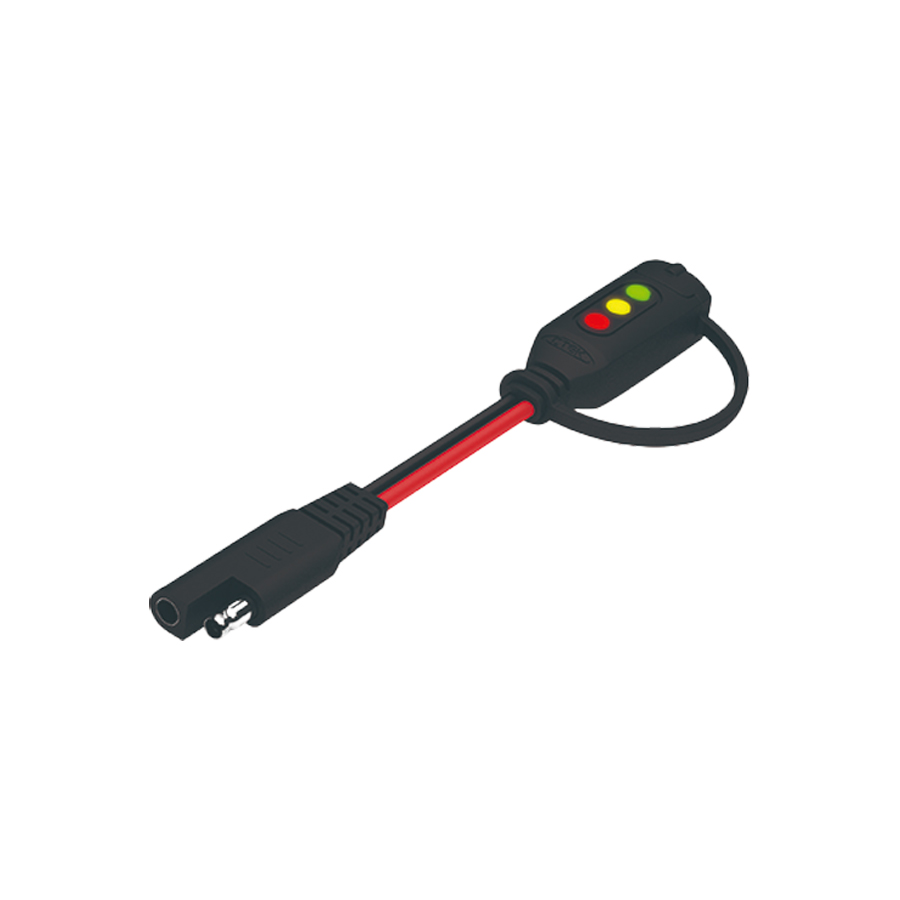 Daisy on the Ohoopee