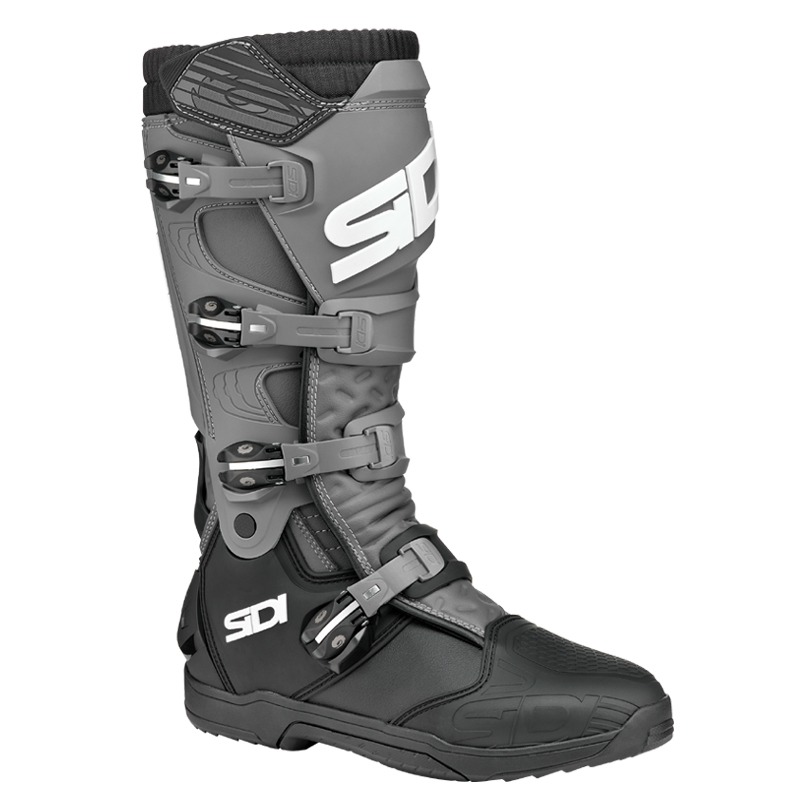 Daisy on the Ohoopee