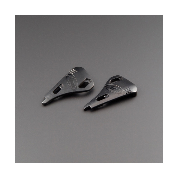 Daisy on the Ohoopee