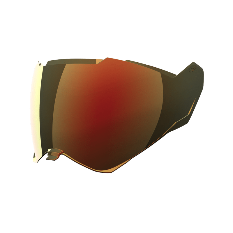 Daisy on the Ohoopee