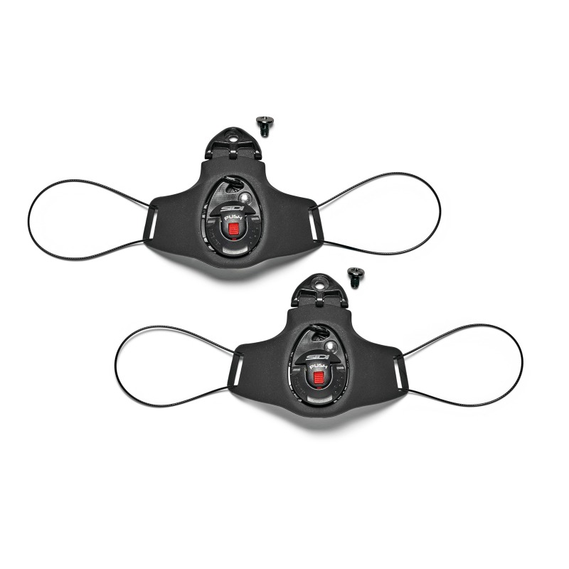 Daisy on the Ohoopee