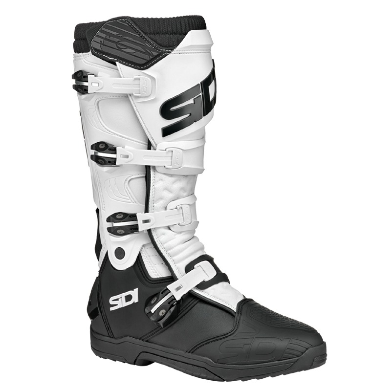 Daisy on the Ohoopee