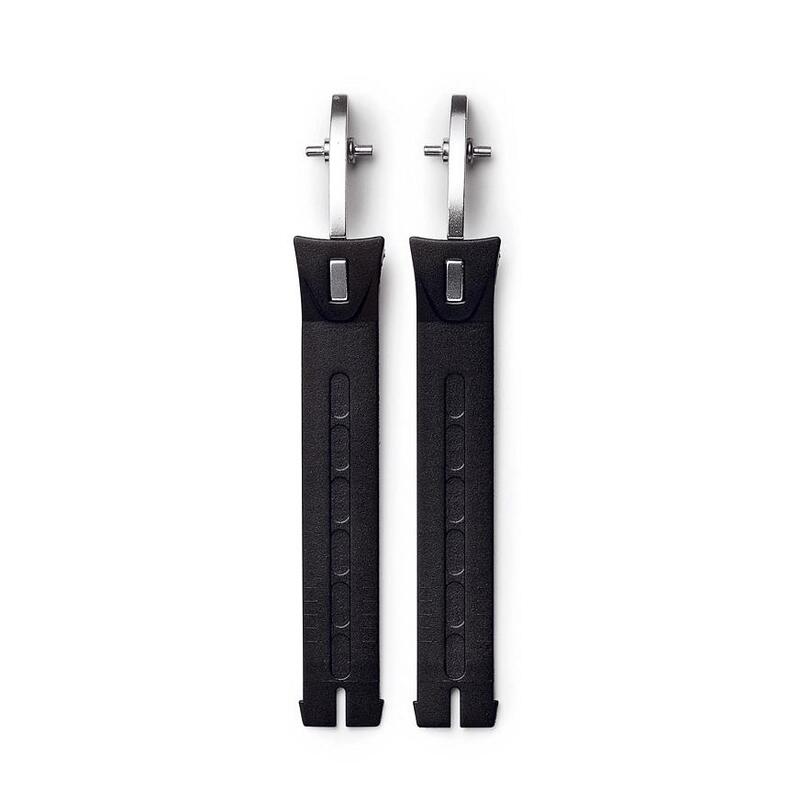 Daisy on the Ohoopee