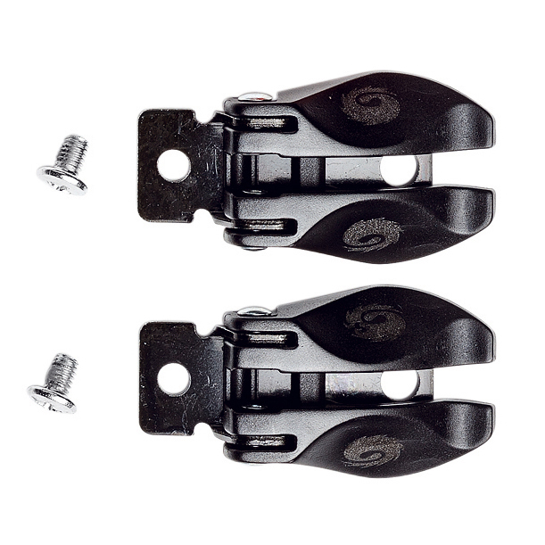 Daisy on the Ohoopee