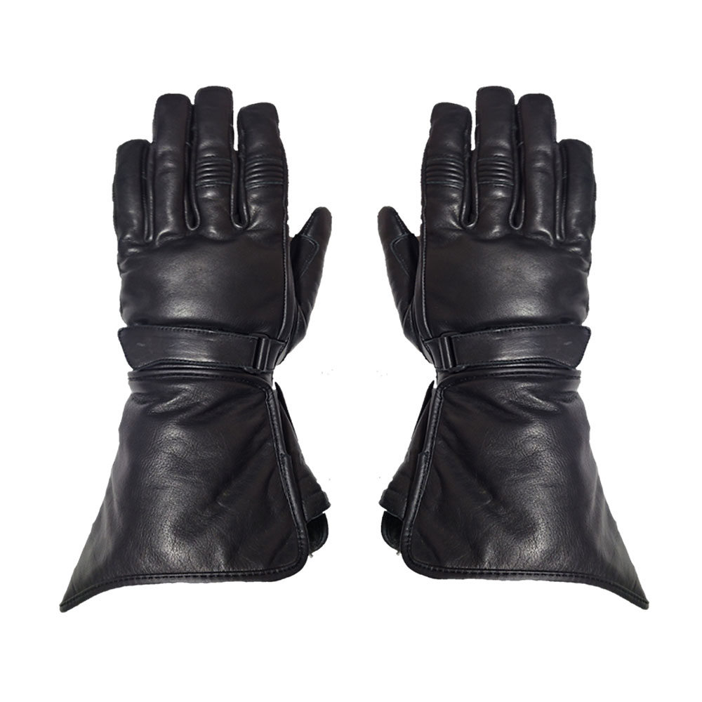 Daisy on the Ohoopee