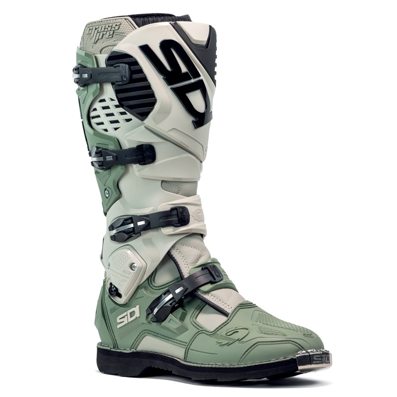 Daisy on the Ohoopee