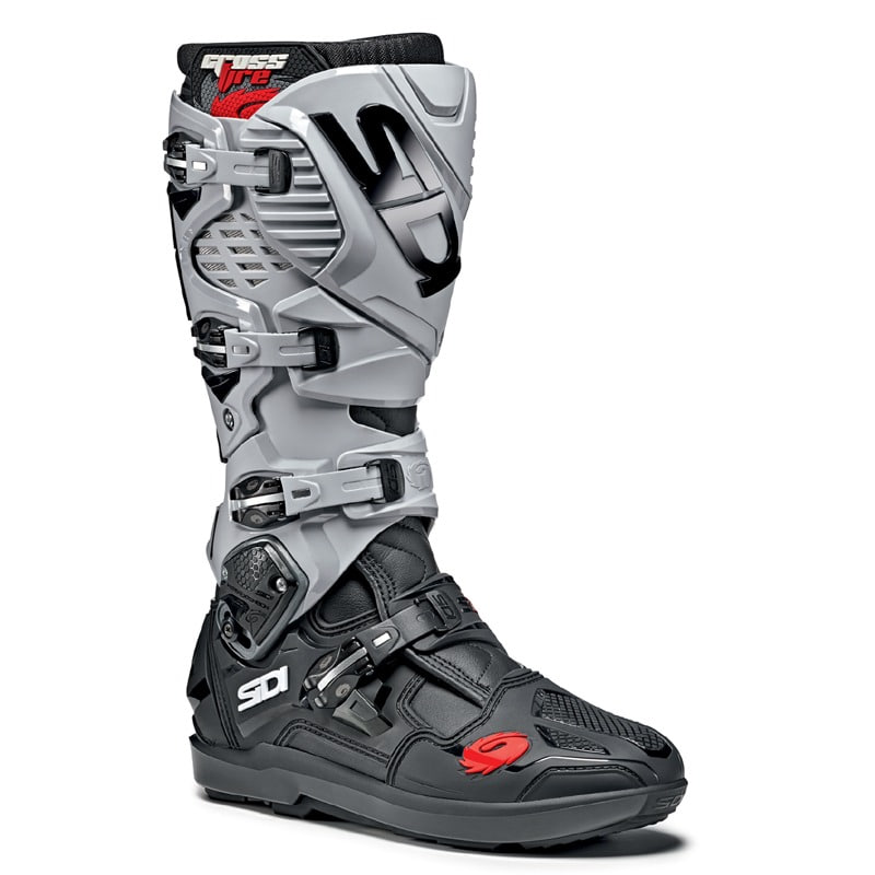 Daisy on the Ohoopee