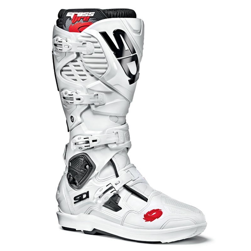 Daisy on the Ohoopee