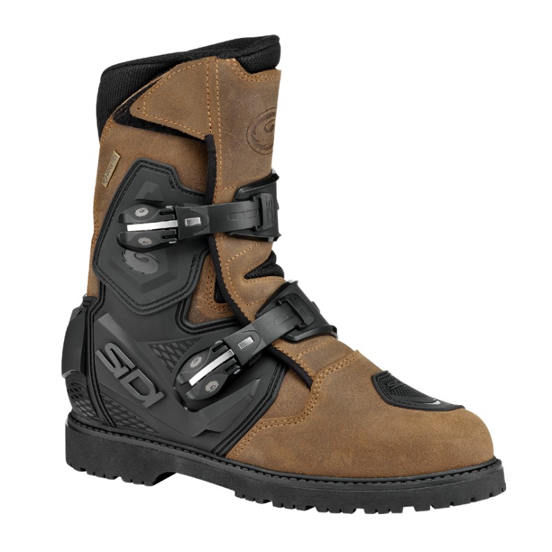 Daisy on the Ohoopee