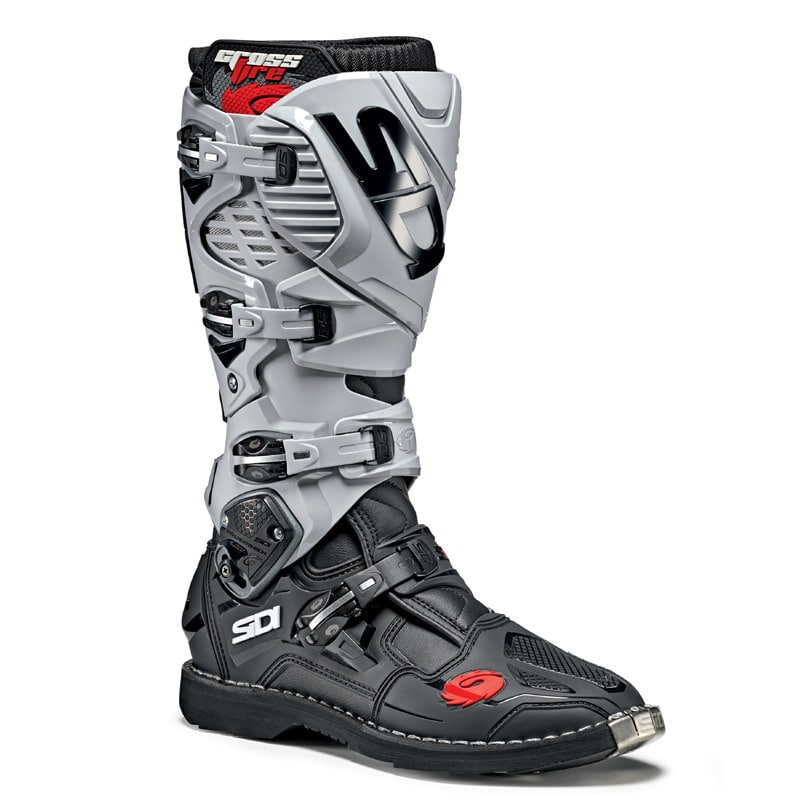 Daisy on the Ohoopee