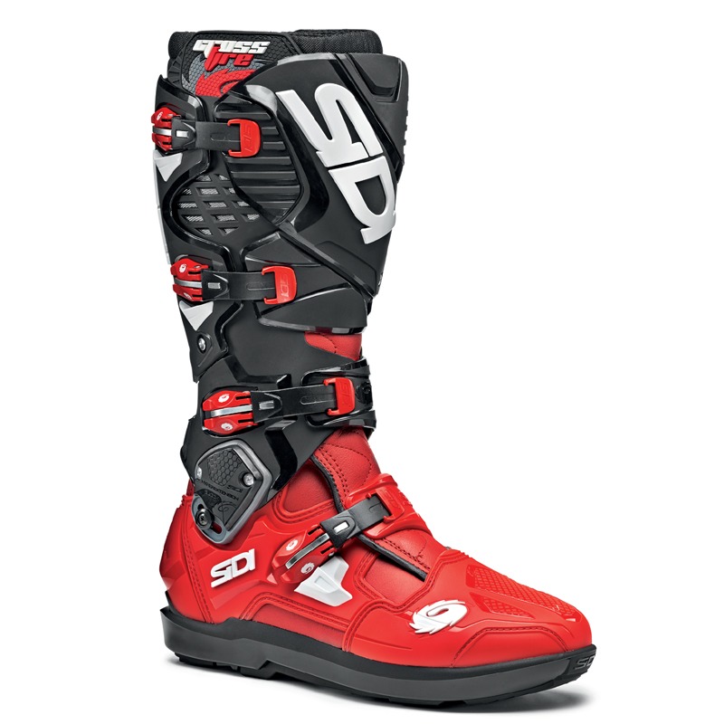 Daisy on the Ohoopee