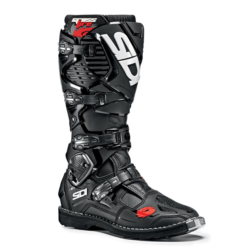 Daisy on the Ohoopee