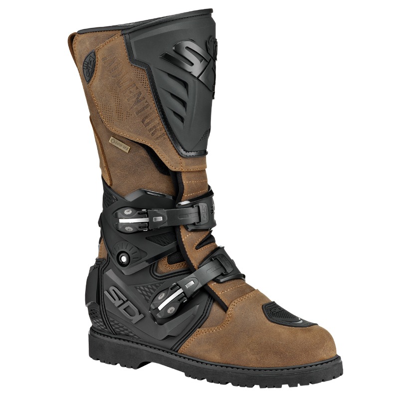 Daisy on the Ohoopee