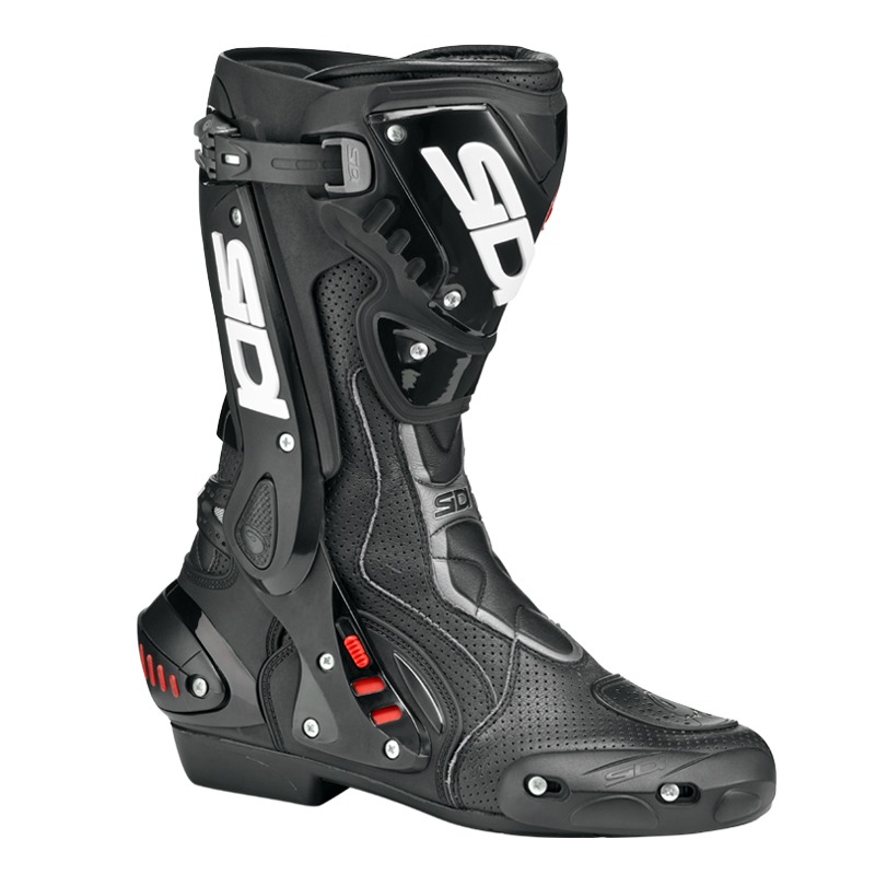 Daisy on the Ohoopee