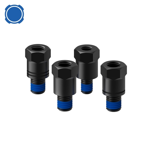 Daisy on the Ohoopee