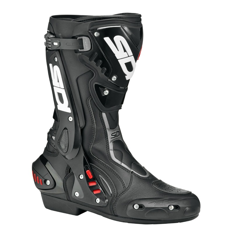 Daisy on the Ohoopee