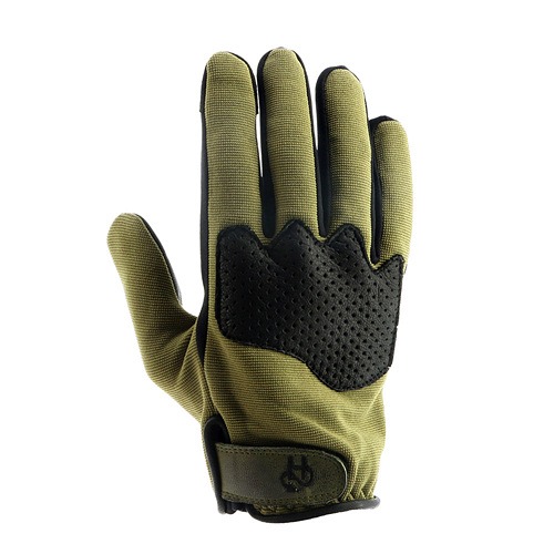 Daisy on the Ohoopee