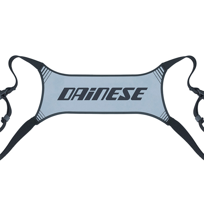 Daisy on the Ohoopee