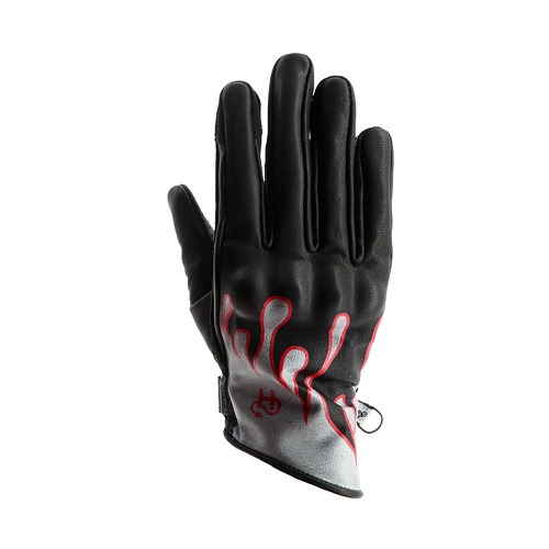 Daisy on the Ohoopee