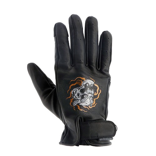 Daisy on the Ohoopee