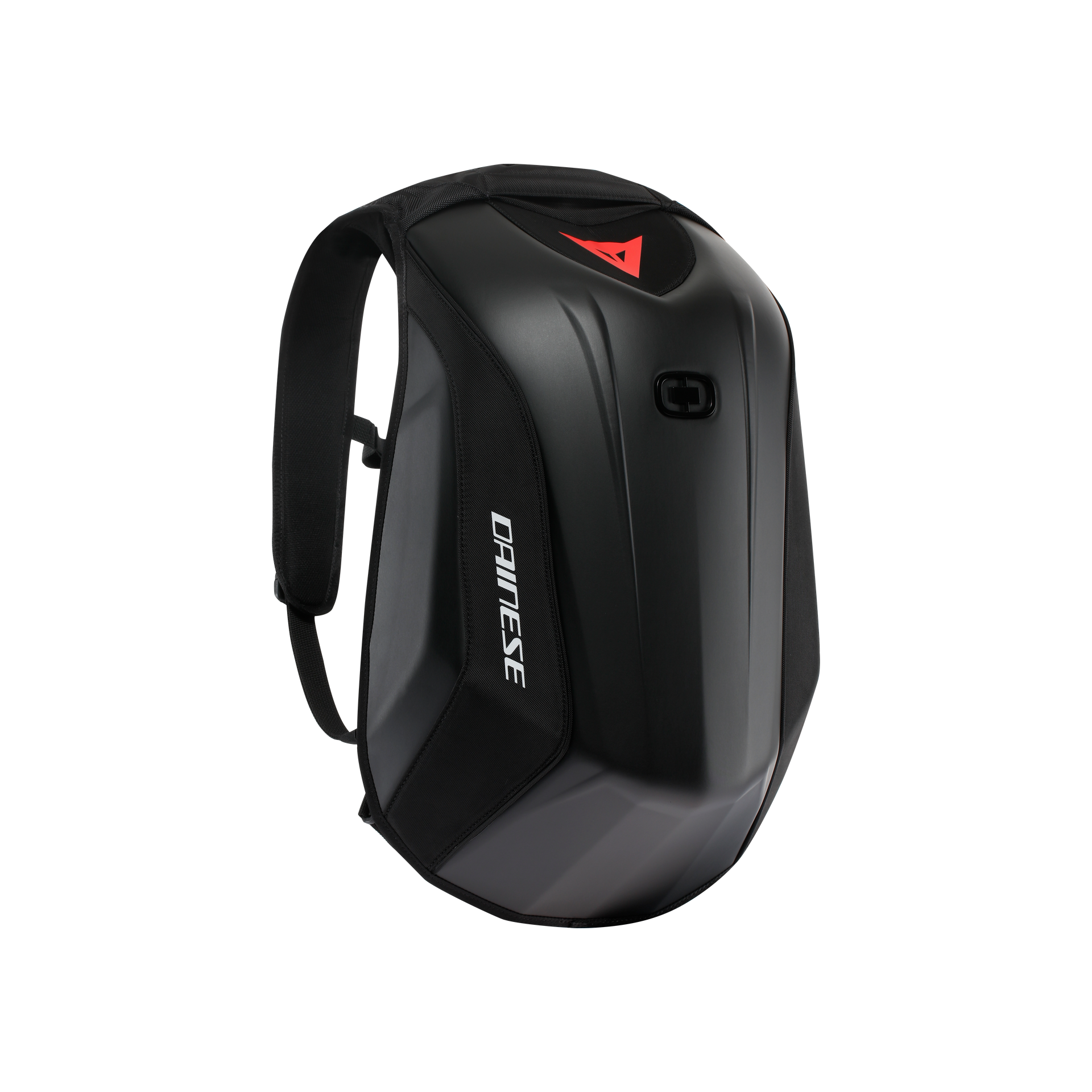 Daisy on the Ohoopee