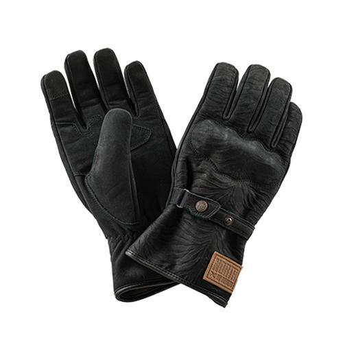 Daisy on the Ohoopee